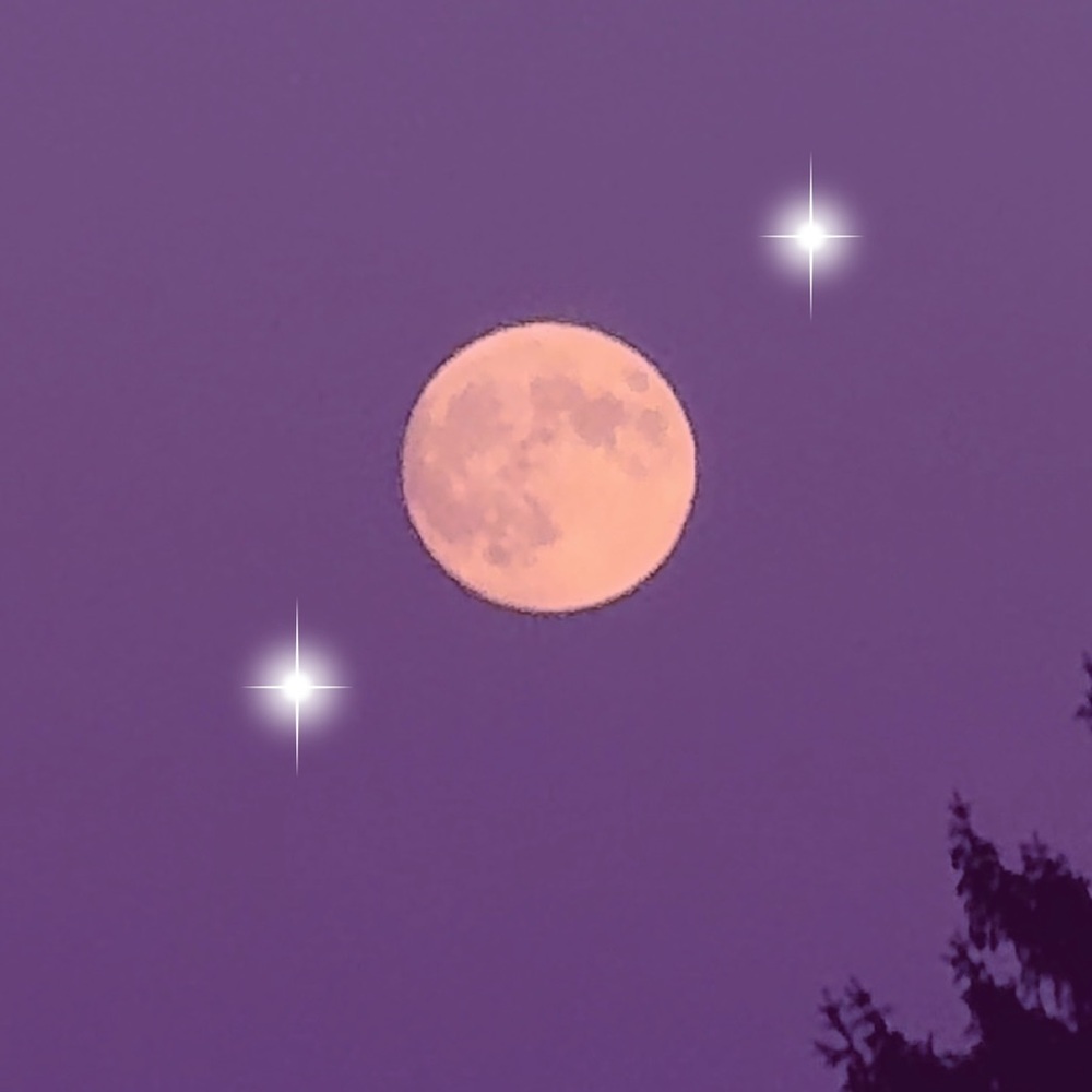 Hi!💟 Welcome to my shop!💓🌿🌙🩵